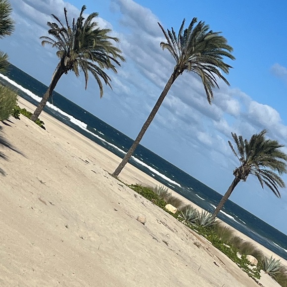 Meet your Poshers, Dee & Dan (mum & daughter team) - Picture 1 of 1